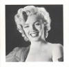Marilyn inside 01